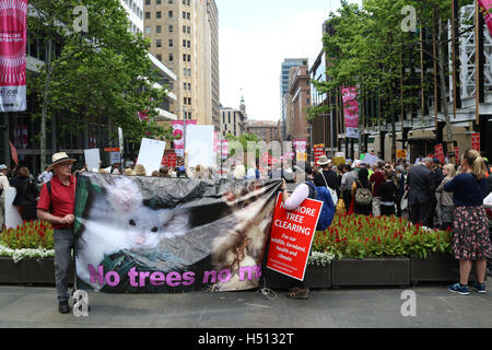 Sydney, Australie. 19 octobre 2016. Une protestation de la communauté a eu lieu à Martin Place, a proximité de la Nouvelle-Galles du Parlement d'exhorter le premier ministre Mike Baird pour protéger les espèces sauvages indigènes et de respecter ses principes de protection des animaux en maintenant de solides lois de défrichement. Sur la photo : manifestants tenir une banderole disant 'pas d'arbres, pas moi". Crédit : Richard Milnes/Alamy Live News Banque D'Images