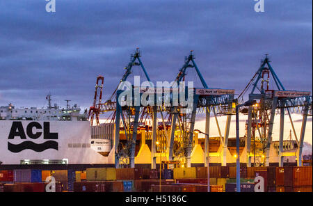 Grues opérationnelles sur portique à porte-à-faux (CRMG) Liverpool, Merseyside, Royaume-Uni.19 octobre 2016.Le nouveau navire Atlantic Container Line (ACL) Atlantic Sea arrive à Seaforth où des grues de quai entreprennent le chargement et le déchargement au crépuscule.Le navire est l’un des cinq nouveaux navires qui doubleront la capacité de l’ACL à transporter des conteneurs d’expédition du Royaume-Uni et de l’Europe de l’autre côté de l’Atlantique.Les navires à conteneur roulant/roulant sont les navires les plus grands et les plus avancés du genre au monde. Banque D'Images