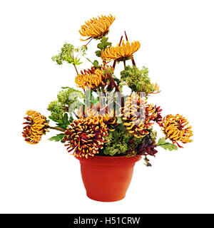 Bouquet de chrysanthèmes, pièce maîtresse dans l'arrangement vase isolé sur fond blanc. Banque D'Images