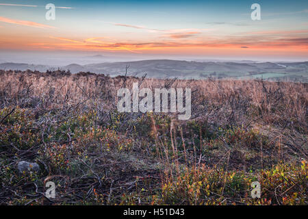 Colorful Sunrise nuages sur prairie avec Automne Herbe séchée et branches de bruyère brûlée Banque D'Images