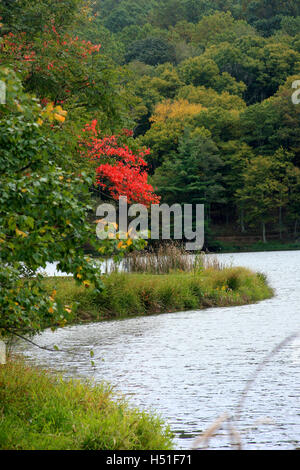 Virginia, USA. Lac d'Abbott sur Blue Ridge Parkway en automne. Banque D'Images