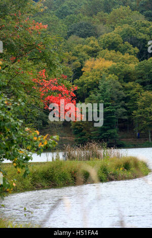 Virginia, USA. Lac d'Abbott sur Blue Ridge Parkway en automne. Banque D'Images