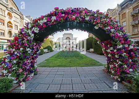 TIMISOARA, Roumanie - 23 avril ; 2016 : arrangements floraux dans la place de la victoire, avec l'Opéra en arrière-plan. Banque D'Images