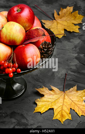 Bol sur la jambe avec la chasse d'automne de pommes et un tas de viburnum Banque D'Images