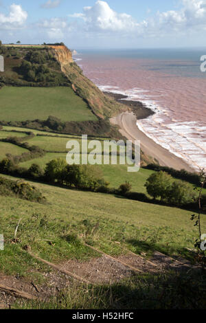 Étapes escarpées sur le chemin côtier du sud-ouest de la falaise à Sidmouth est vers Branscombe, Beer & Seaton. Banque D'Images