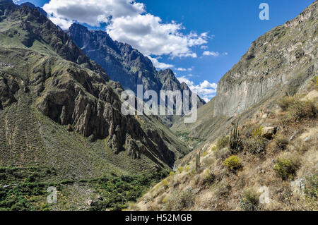 Vue sur le canyon le plus profond du monde, le Canyon de Colca, Pérou Banque D'Images