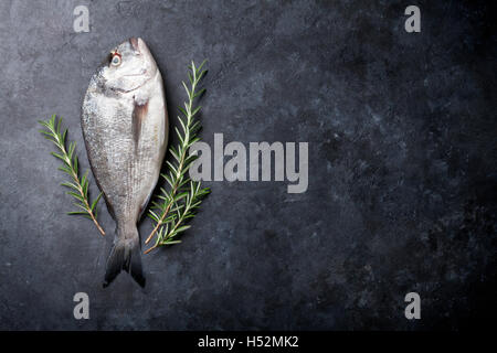 La cuisson du poisson cru et des ingrédients. Dorado et Rosemary herb. Vue supérieure avec copie espace sur table en pierre Banque D'Images