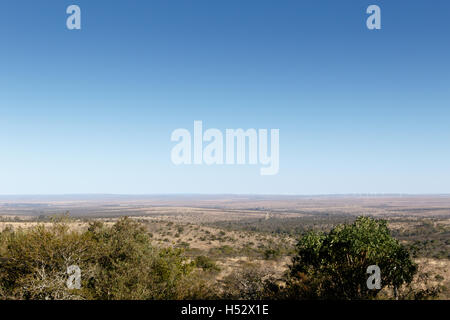 Ciel bleu avec vue sur paysage plat avec des arbres au premier plan. Banque D'Images