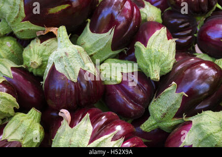 Une pile d'aubergines fraîches sélectionnées pour la vente dans un marché Banque D'Images