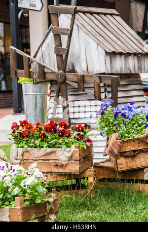 Pensées dans un grand seau et un moulin dans le jardin. Banque D'Images