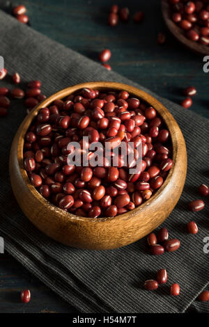 Rouge Bio Haricots Adzuki crus dans un bol Banque D'Images