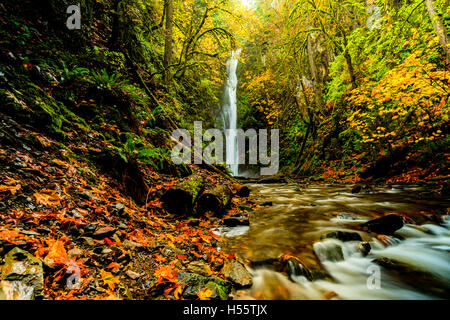 Cascades Niagara Goldstream à Victoria series - Magnifique cascades du Niagara en octobre 10 Banque D'Images