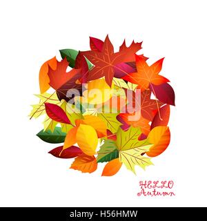 Couleurs d'automne les feuilles tombées. Illustration de Vecteur