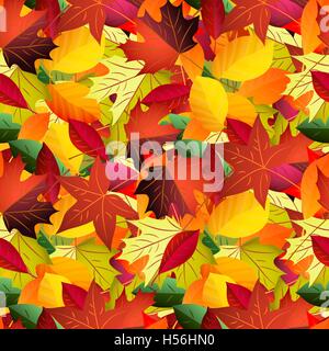 Modèle de couleur transparente avec les feuilles tombées. Vector retour d'automne Illustration de Vecteur