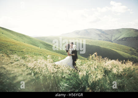 Belle et élégante mariée heureuse fabuleux groom posing sur l'arrière-plan de la magnifique montagne ensoleillée Banque D'Images