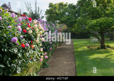 Rousham House et Jardin dahlia border à l'automne. Oxfordshire, Angleterre Banque D'Images