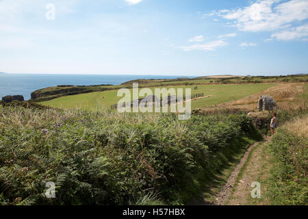 Chapelle St anc dans un champ sur le Pembrokeshire Coastal Path, entre St Davids et Solva, West Wales, UK. Banque D'Images