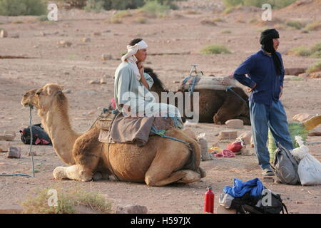 Guides locaux avec des chameaux d'attente lors d'une randonnée à travers le désert du Sahara au sud du Maroc Banque D'Images