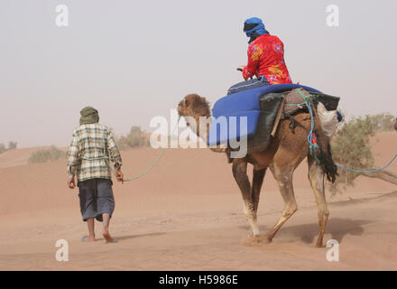 Un guide local à la tête d'un touriste de l'ouest sur un chameau au cours d'une au désert, dans le sud du Maroc Banque D'Images