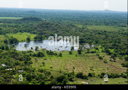 Les rizières autour de Mihintale et temple bouddhiste monastère, Anuradhapura, Sri Lanka Banque D'Images