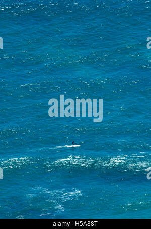 Sportsman paddleboarding dans l'océan ouvert près de Honolulu, Hawaii Banque D'Images