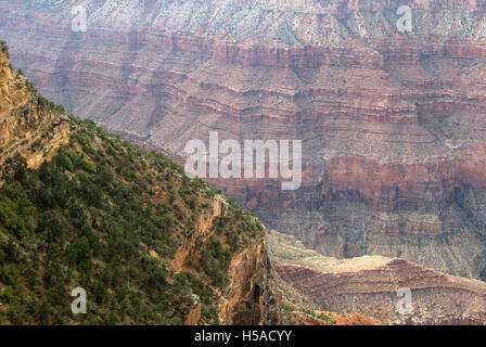 Grand Canyon National Park Arizona USA Banque D'Images