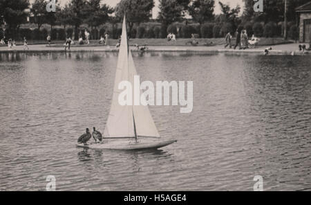 Photo d'époque du lac Boating de Sefton Park à Liverpool vers 1950. Montrant un modèle de yacht de voile avec deux canards hitching une promenade Banque D'Images