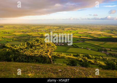 Somerset Levels vu de l'indécision dans les collines de Mendip. Le Somerset. L'Angleterre. Banque D'Images