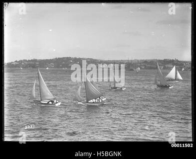 Sloops sur le port de Sydney Banque D'Images