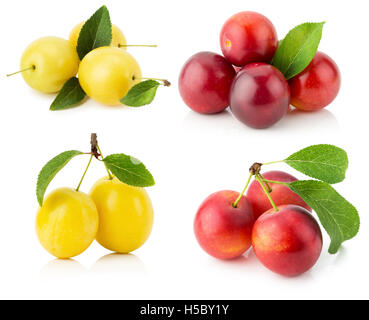 Collection de prunes cerises isolé sur le fond blanc. Banque D'Images