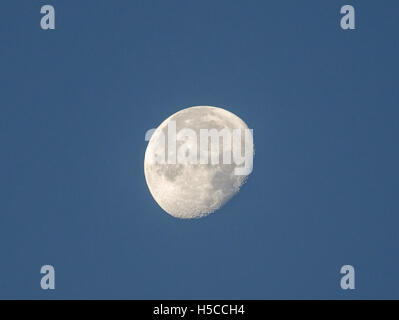 Une Lune gibbeuse décroissante dans le bleu ciel du matin juste après le lever du soleil Banque D'Images