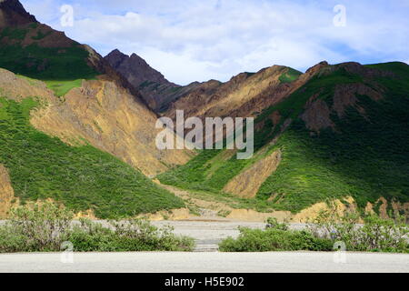 Scenic sur la montagne au Parc National Denali et préserver (Mt. McKinley), Alaska Banque D'Images