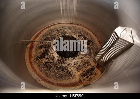 Le Hampshire, au Royaume-Uni. 19 octobre, 2016. Pinot noir récoltés en une baisse de la TVA dans le métal à l'Hambledon Vineyard winery dans le Hampshire, au Royaume-Uni Mercredi, 19 octobre 2016. Les vendanges vin anglais a commencé, les perspectives sont bonnes après une fin d'été, en août et septembre. La vigne à Hambledon, un des plus anciens du pays, a 75 000 vignes de plus de 20 hectares dans le parc national des South Downs. Credit : Luke MacGregor/Alamy Live News Banque D'Images