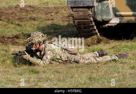 Salisbury, Wiltshire, Royaume-Uni. 20 octobre, 2016. Démonstration d'armes combinées de l'armée britannique dans la plaine de Salisbury devant 500 VIP's. Le Régiment Mercie mis sur le feu avec l'affichage des unités supplémentaires de la RAF et l'aviation de l'armée avec deux hélicoptères Apache engagent également dans. Credit : Dorset Media Service/Alamy Live News Banque D'Images