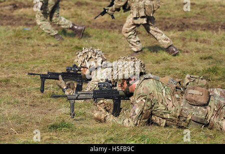 Salisbury, Wiltshire, Royaume-Uni. 20 octobre, 2016. Démonstration d'armes combinées de l'armée britannique dans la plaine de Salisbury devant 500 VIP's. Le Régiment Mercie mis sur le feu avec l'affichage des unités supplémentaires de la RAF et l'aviation de l'armée avec deux hélicoptères Apache engagent également dans. Credit : Dorset Media Service/Alamy Live News Banque D'Images