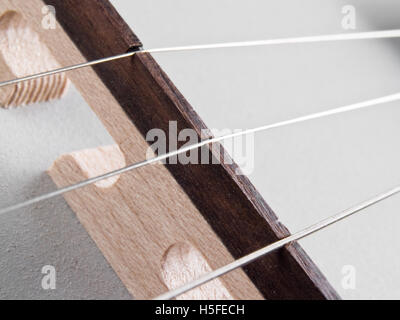 Cordes banjo et pont Banque D'Images