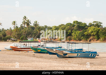 Bateaux de pêche sur la plage, à Trincomalee, Sri Lanka Banque D'Images