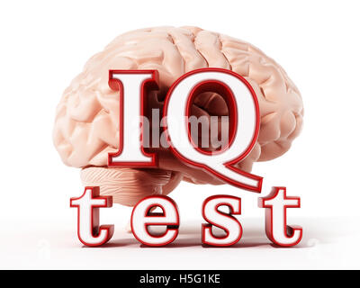 Cerveau humain et IQ test text isolé sur fond blanc. 3D illustration. Banque D'Images