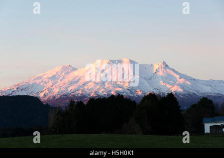 Le mont Ruapehu au coucher du soleil, Parc National de Tongariro, île du Nord, Nouvelle-Zélande Banque D'Images