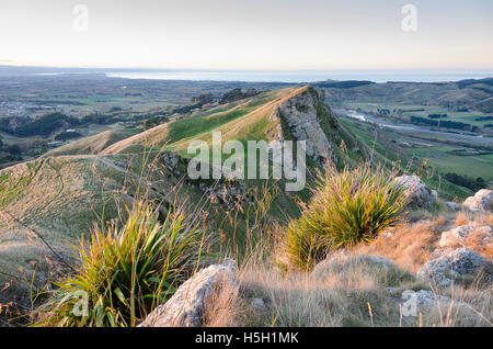 Hawkes Bay à partir de Te Mata Peak, Hastings, Hawke Bay, île du Nord, Nouvelle-Zélande Banque D'Images
