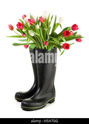 Bouquet de tulipes en bottes de pluie noir isolé sur fond blanc Banque D'Images