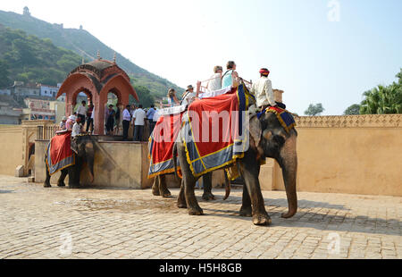 Décorées avec leurs éléphants rider exerçant son passager à Fort Amer à Jaipur, Rajasthan, Inde Banque D'Images
