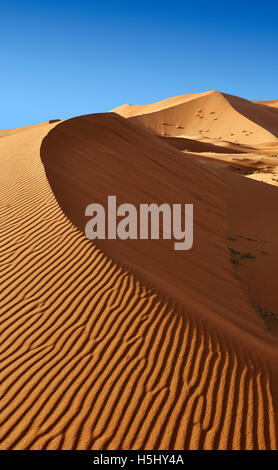 Sable parabolique Sahara dunes de l'erg Chebbi Merzouga, Maroc, Afrique Banque D'Images