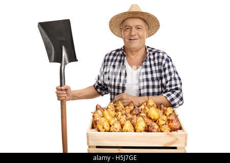 Agriculteur mature posant avec une pelle et une caisse pleine de poires isolé sur fond blanc Banque D'Images