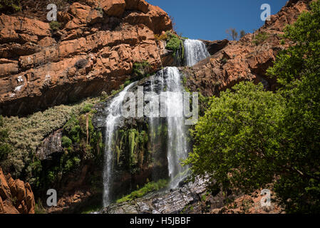 Haut de la Witpoortjie Falls dans le Walter Sisulu National Botanical Garden Banque D'Images