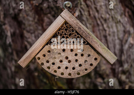 Accueil pour les abeilles en bois Banque D'Images