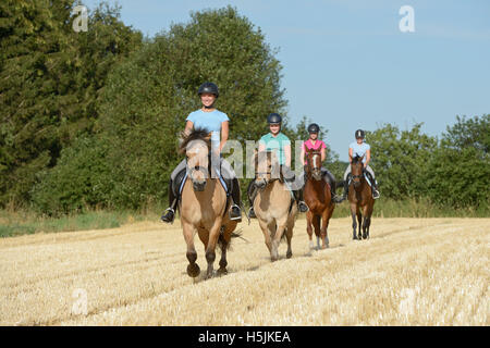 Quatre jeunes coureurs sur l'équitation dans un champ de chaume Banque D'Images