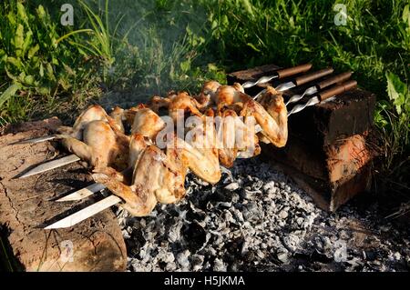 Ailes de poulet savoureux frits sur charbons dans l'air frais Banque D'Images