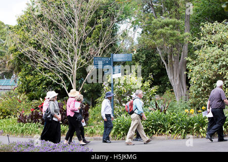 Les visiteurs de la réception d'un tour à travers les Jardins botaniques royaux de Sydney, Nouvelle Galles du Sud, Australie Banque D'Images