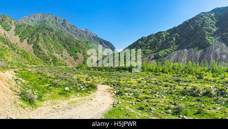 Le chemin poussiéreux mène à la gorge d'enroulement Zarmas dans Gamme de montagnes Gissar Pamir-Alay, le territoire de la Réserve Naturelle de Gissar Banque D'Images